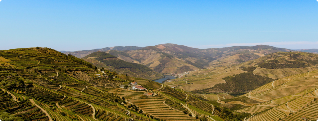 descriptive image for section spatial and urban planners