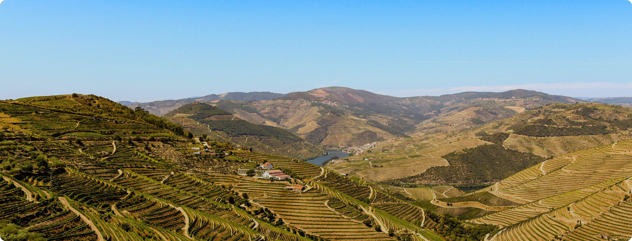 descriptive image for section spatial and urban planners