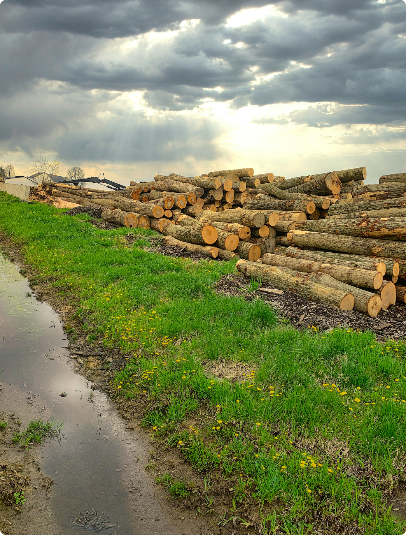 decorative image of "business" section