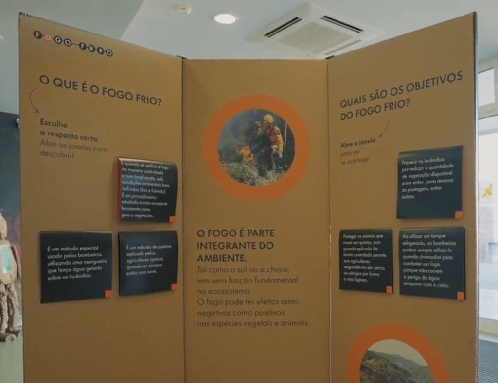 descriptive image of panel of videoclass 1 on coldfire