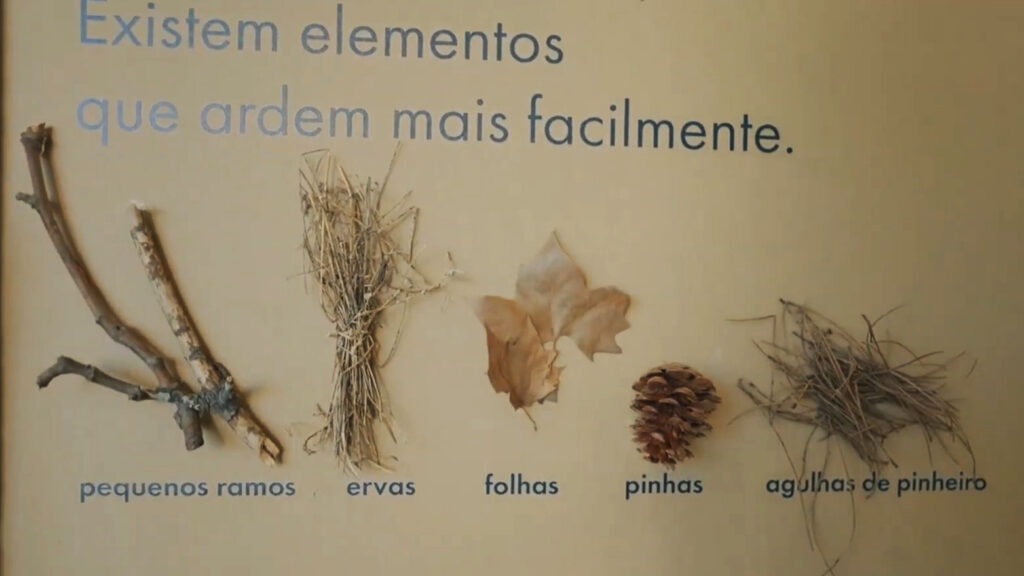 showing different vegetation remains