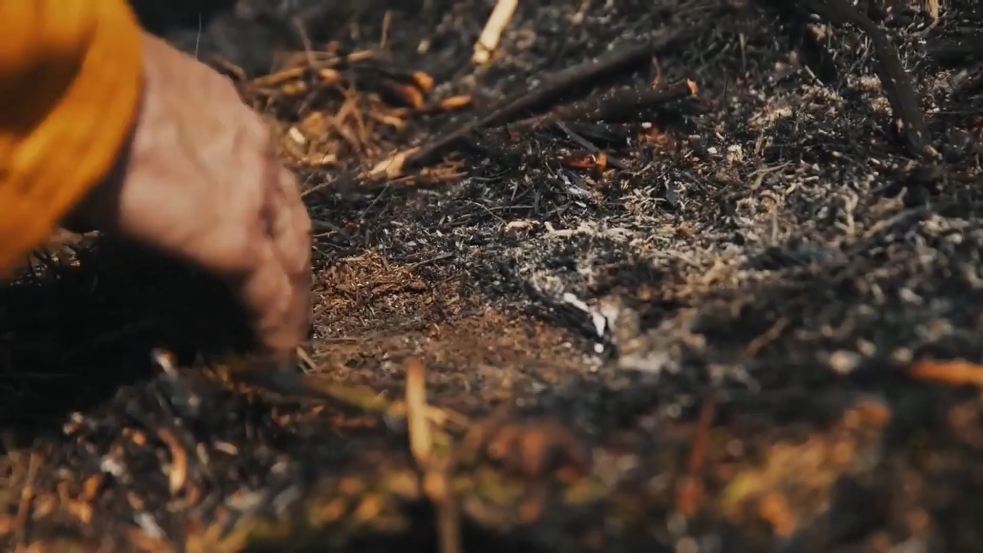 Lesson 5: Prescribed fire