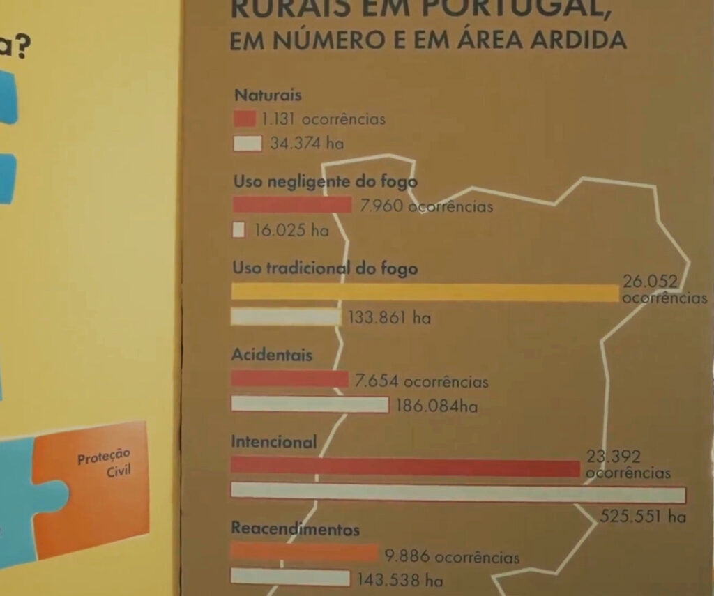 Panel showcasing main causes of wildfires in Portugal by area and hazard