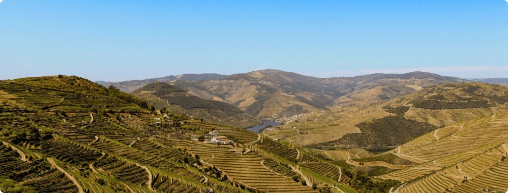 decorative image of spatial and urban planners section