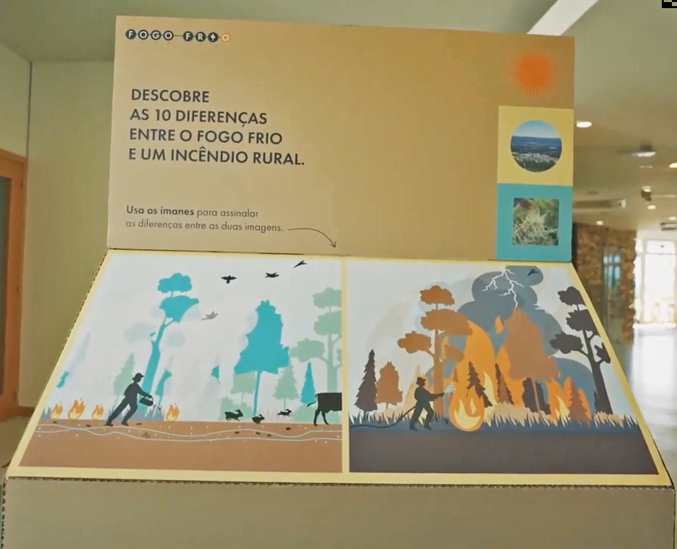 Lesson 7: Differences between cold fire and wildfires