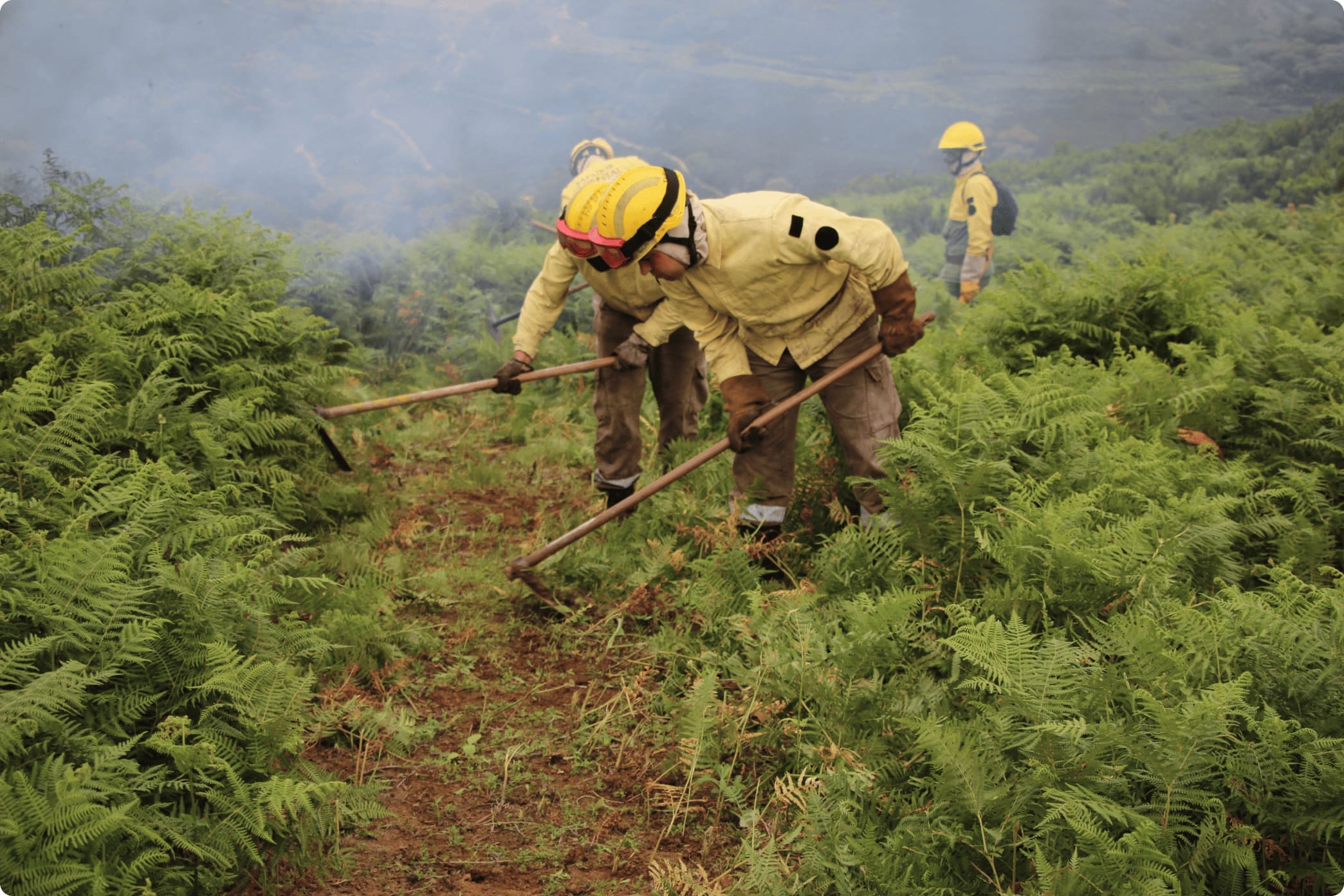 decorative image preparing the land